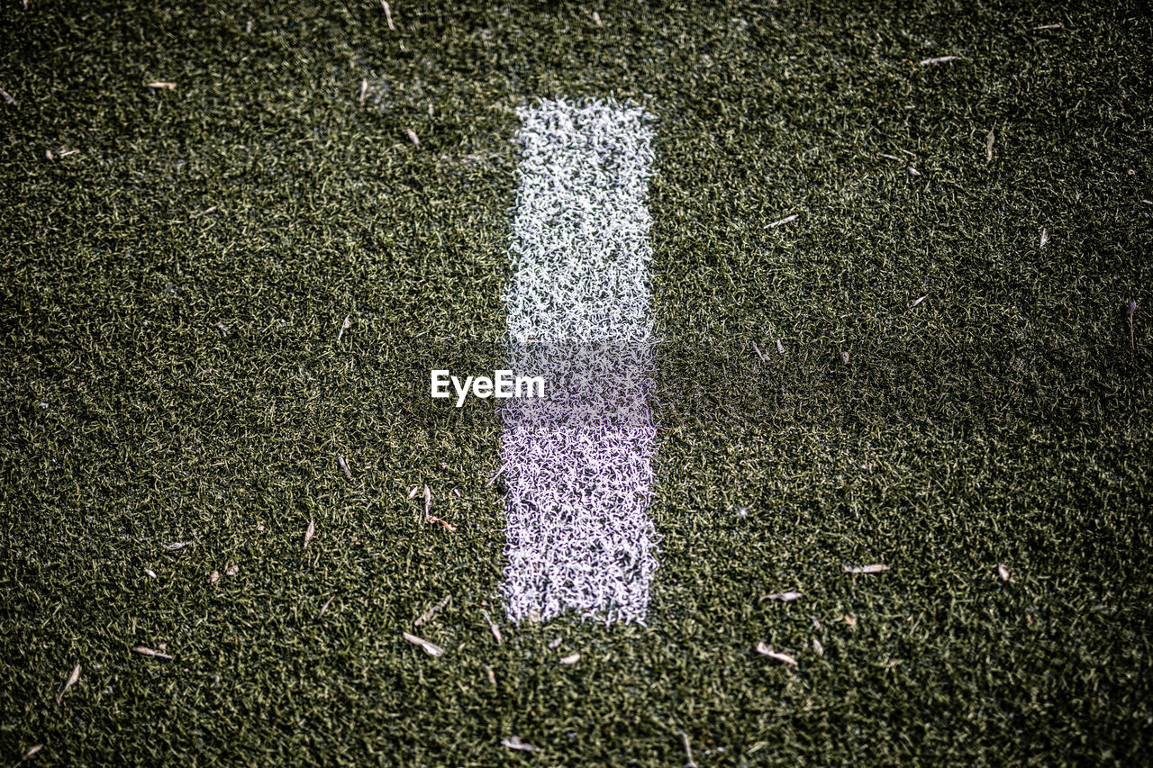 HIGH ANGLE VIEW OF SOCCER FIELD AND PLANTS