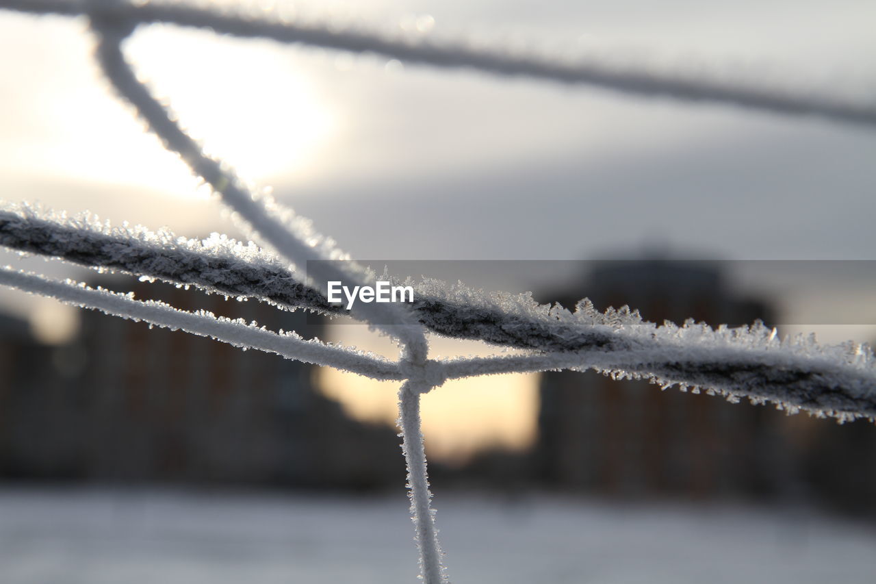 Close-up of frost on fence