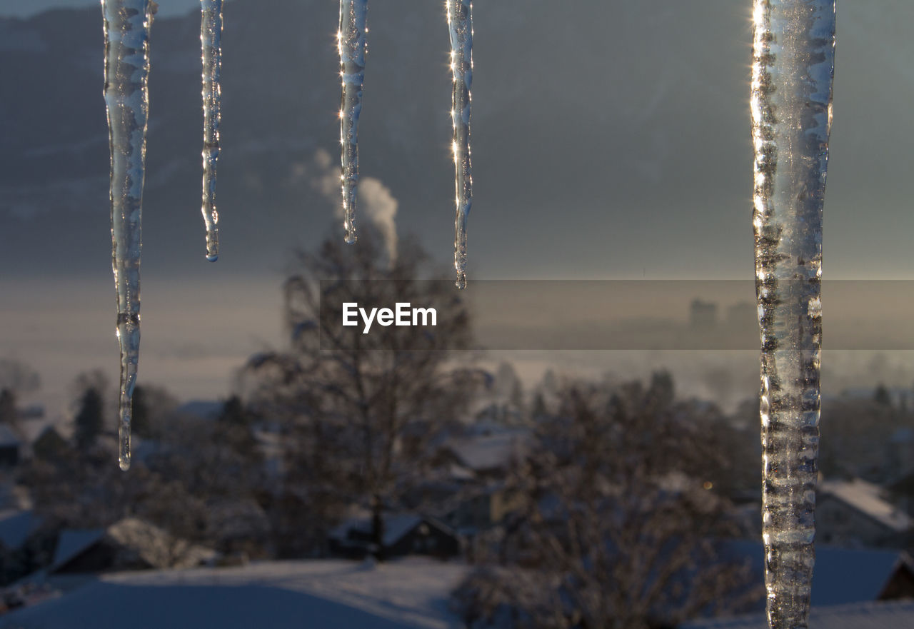 Close-up of icicles on field against sky