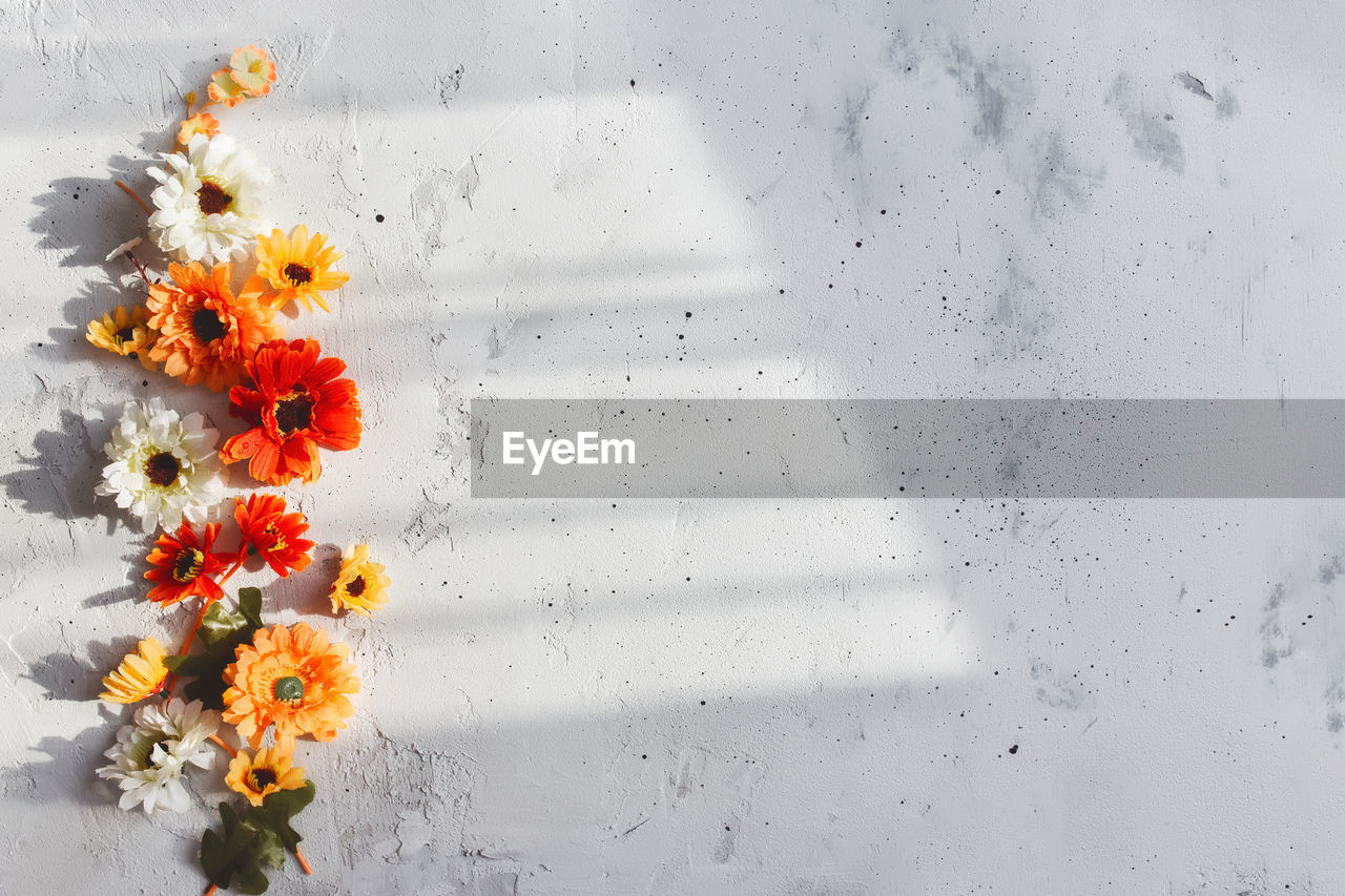 Grey concrete flat lay background with colorful autumn flower heads