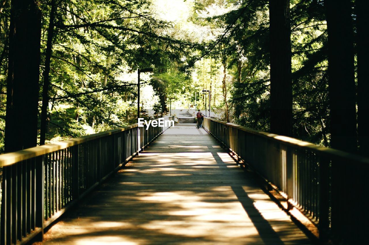 Wooden footbridge amidst trees