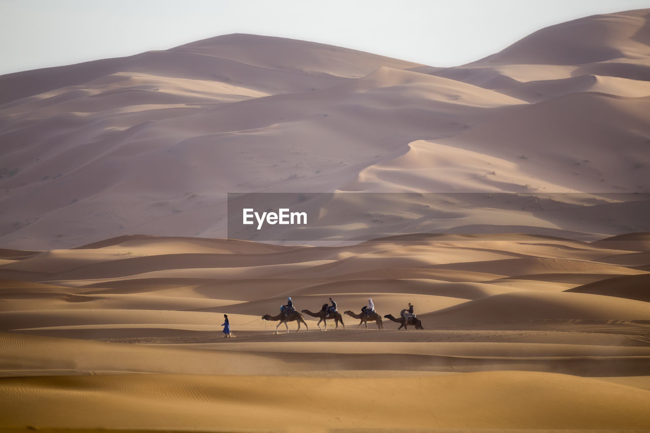 GROUP OF PEOPLE ON SAND DUNES