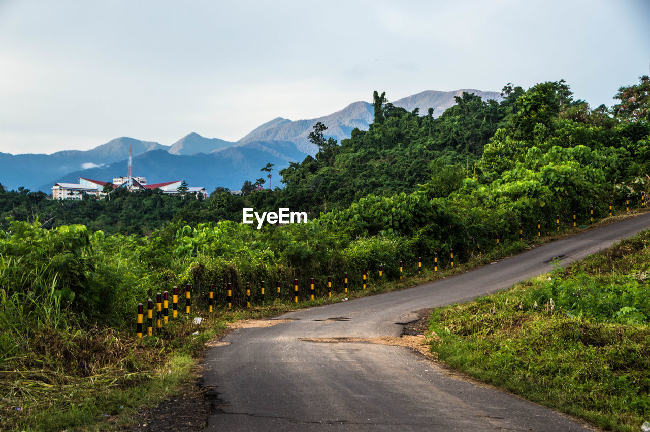 Road amidst trees against sky