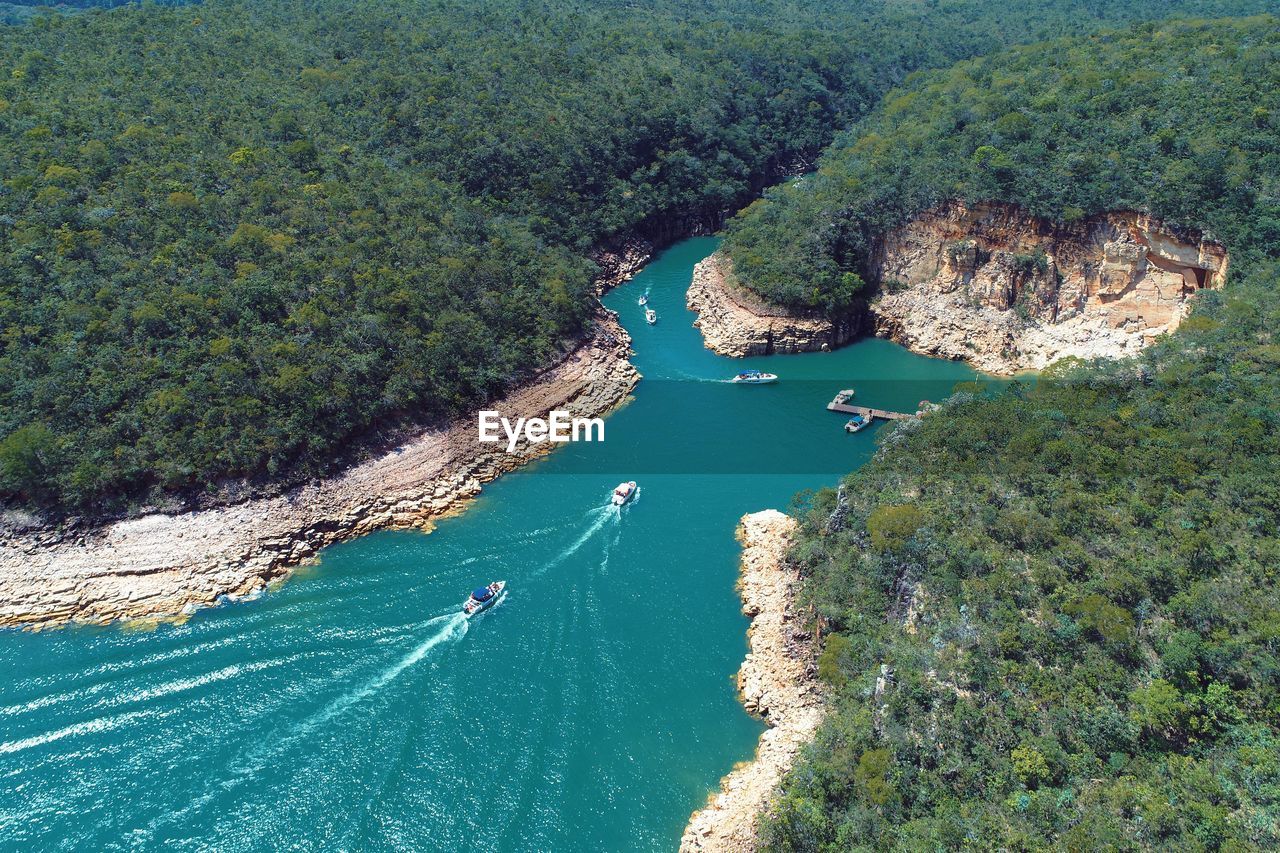 High angle view of sea and trees