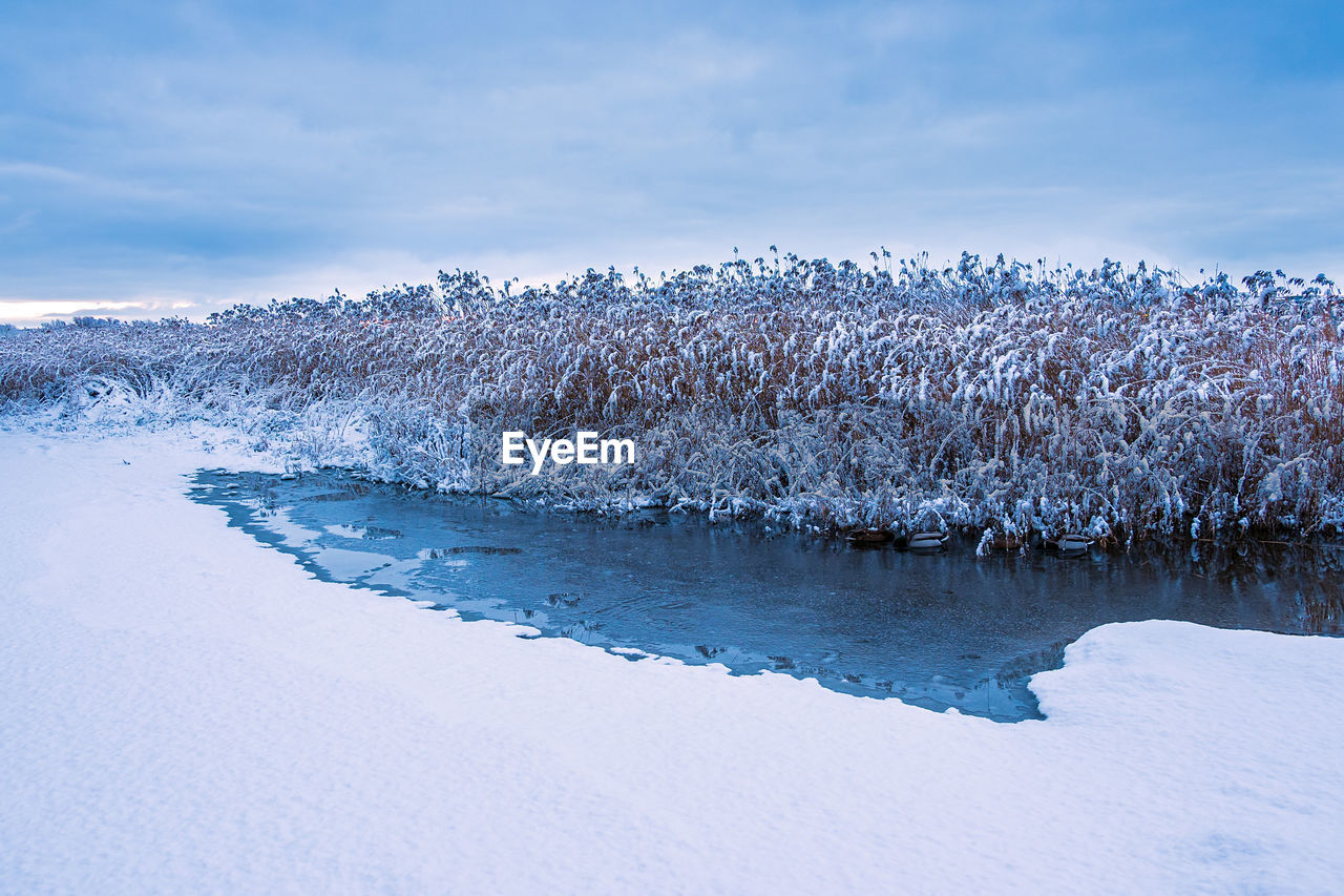 SNOW ON LAND AGAINST SKY