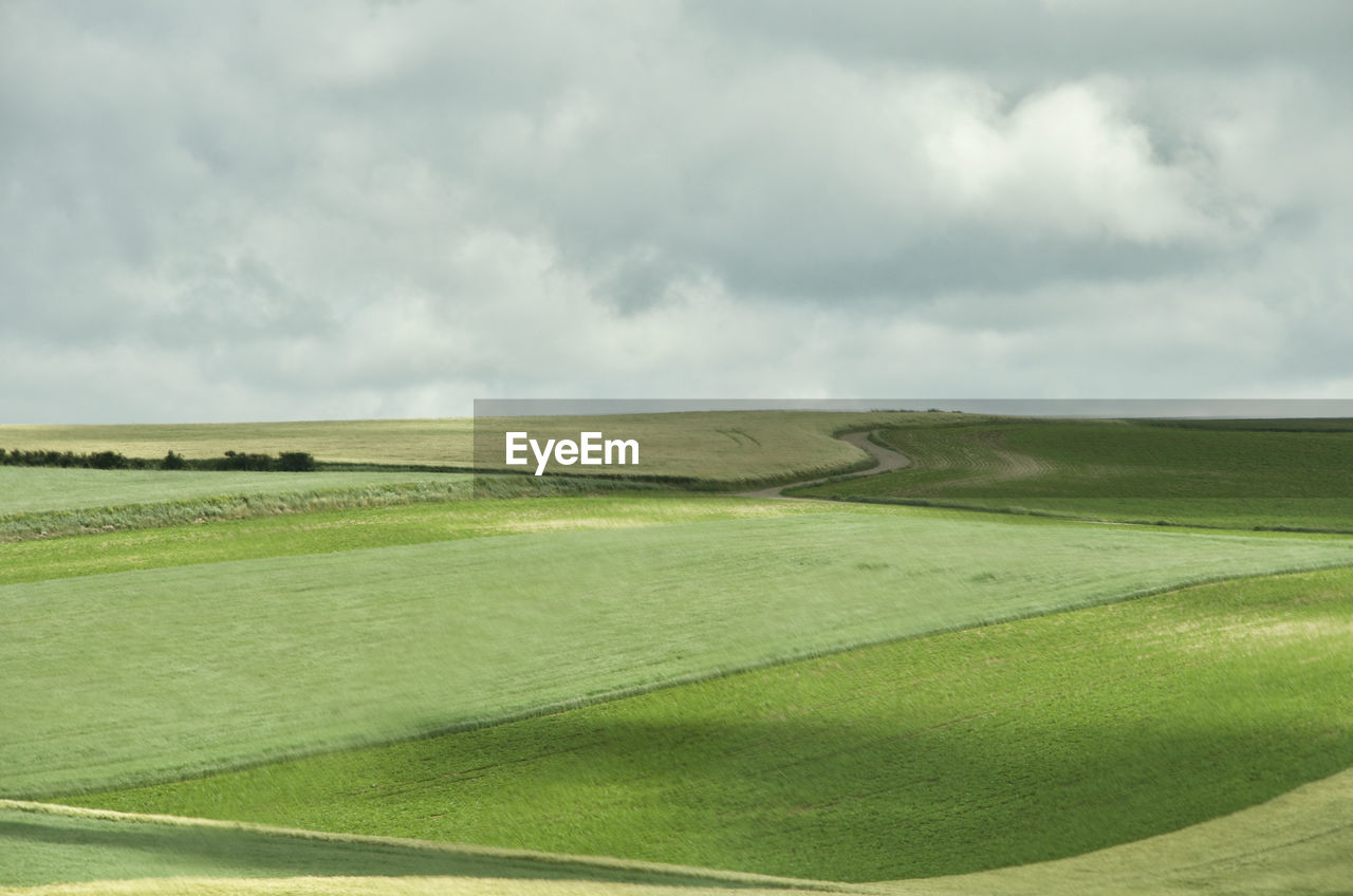 SCENIC VIEW OF GREEN LANDSCAPE AGAINST SKY