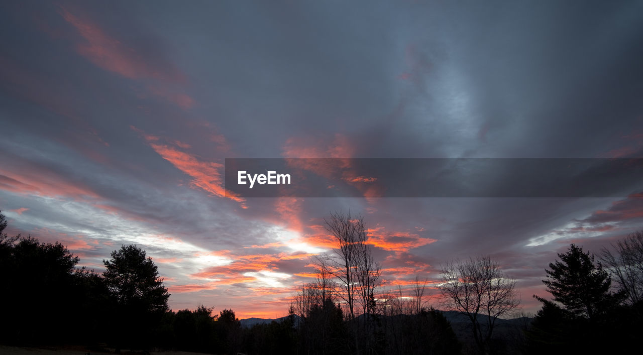 Silhouette of trees against cloudy sky