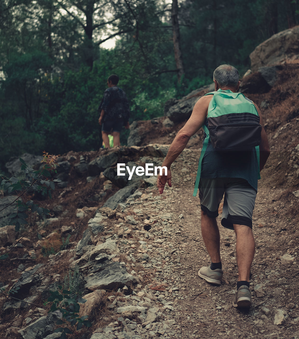 Senior man climbing up the path in the forrest. image of a hiker from the back in the nature.