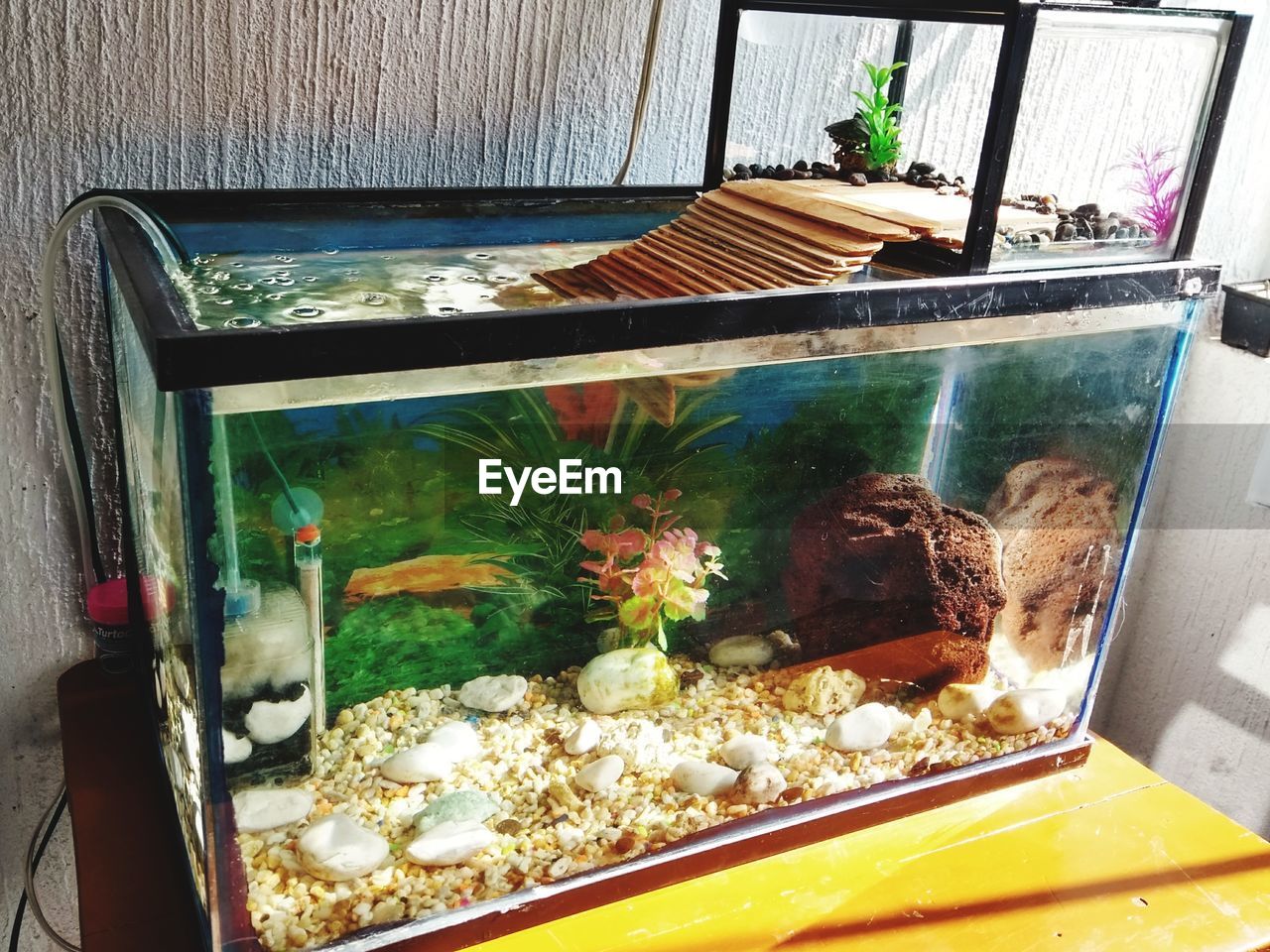 CLOSE-UP OF DESSERT IN GLASS WINDOW