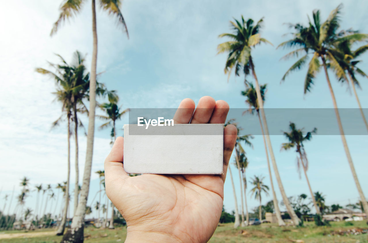 Cropped hand of man holding white box against sky