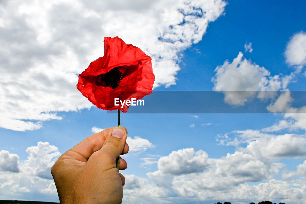 Close-up of hand holding umbrella against clear sky