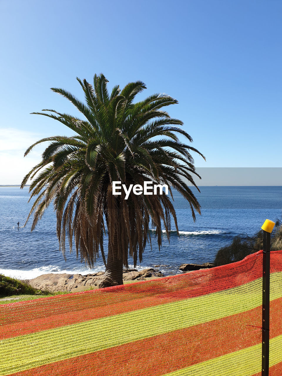 Palm trees on beach against clear sky