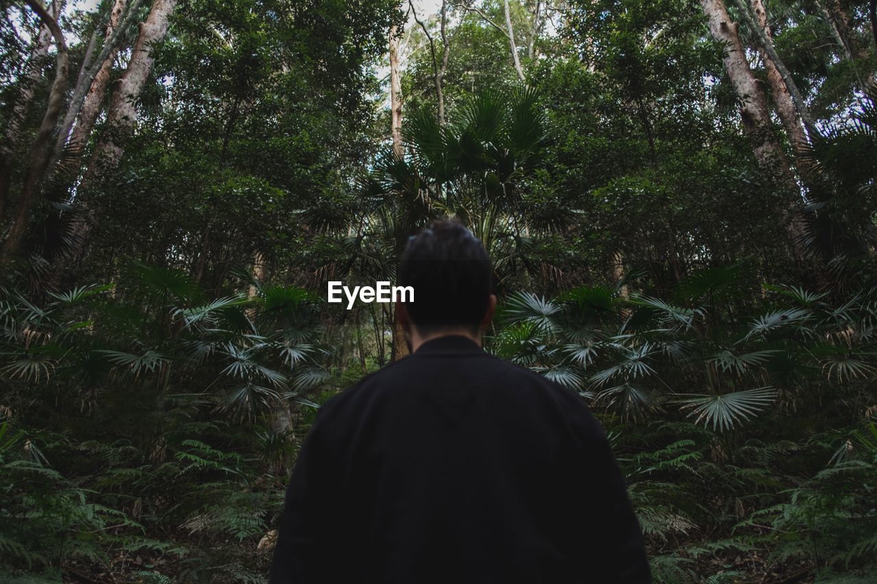 Rear view of man standing by trees in forest