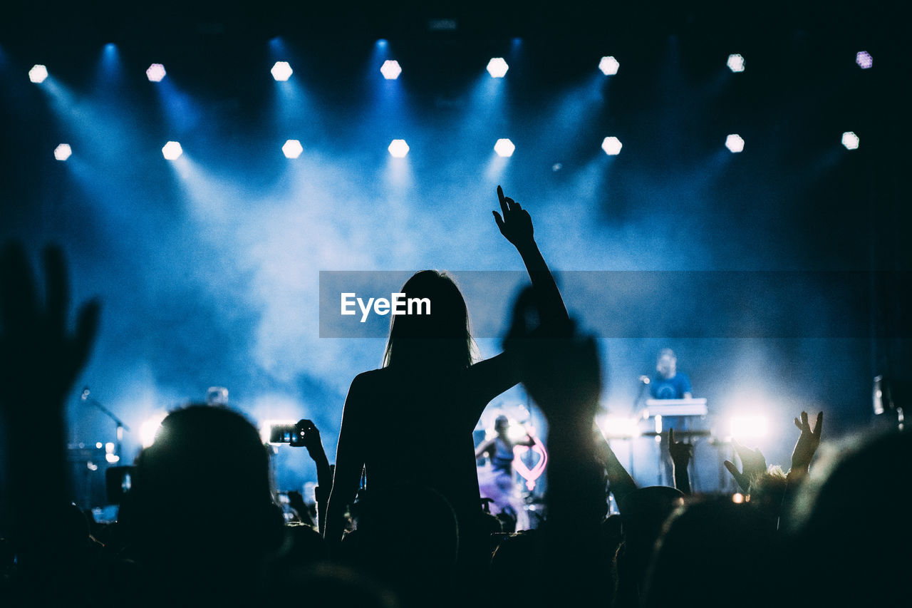 Group of people at music concert