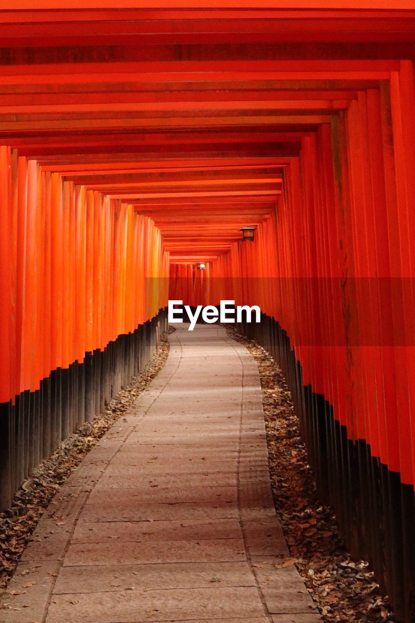 A path through the senbon torii gate of fushimi inari taisha shrine