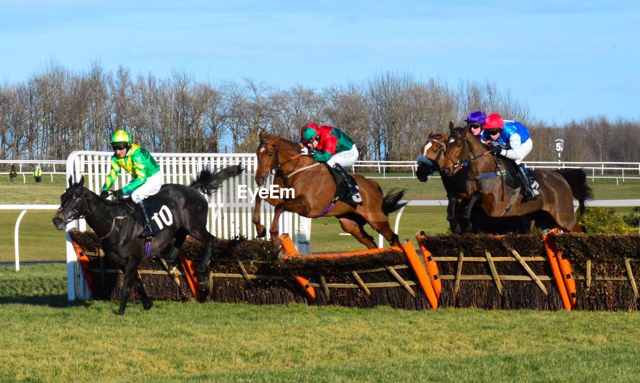 SIDE VIEW OF HORSE RIDING ON FIELD