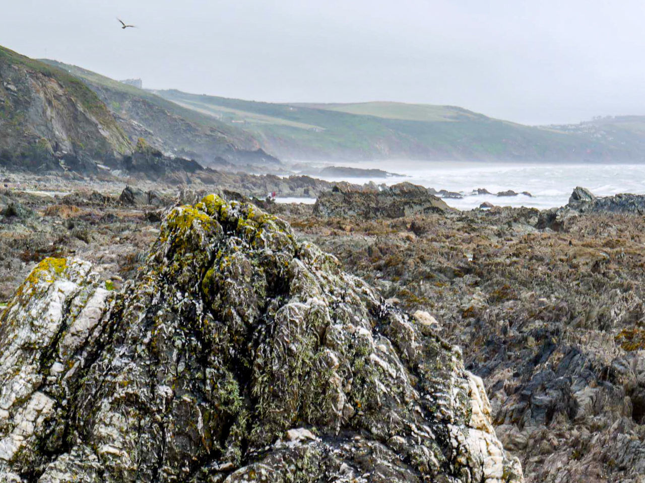 Scenic view of rocky coast