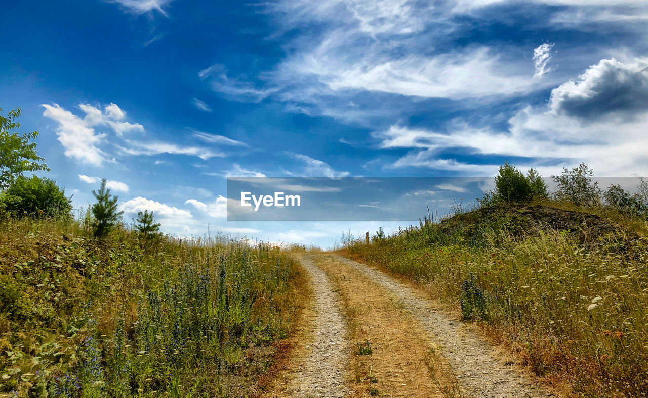 DIRT ROAD ALONG PLANTS ON FIELD