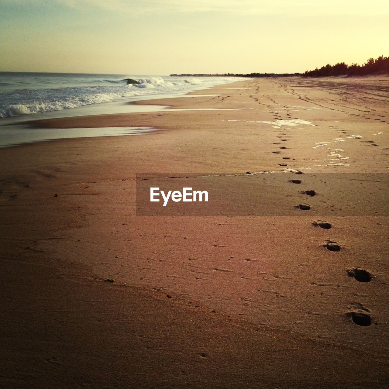 VIEW OF BEACH AGAINST SKY