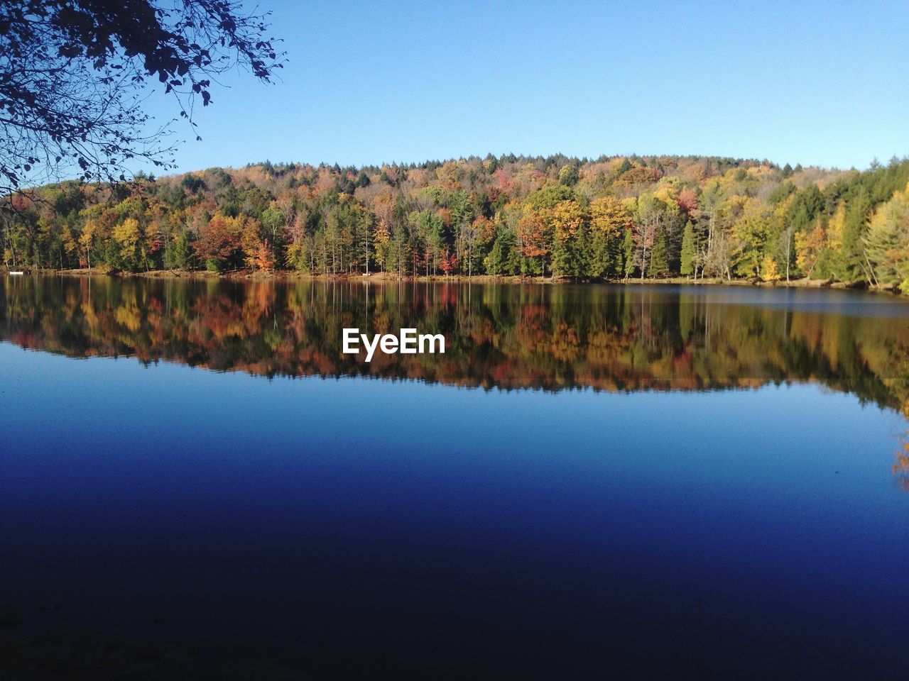 Scenic view of lake against clear blue sky