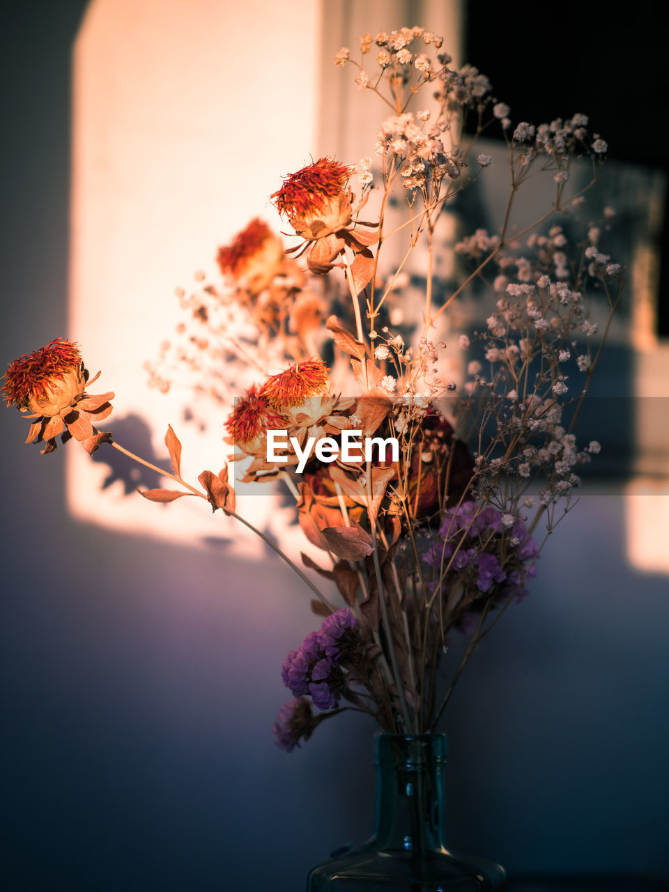 CLOSE-UP OF FLOWERING PLANT IN VASE AGAINST ORANGE WALL