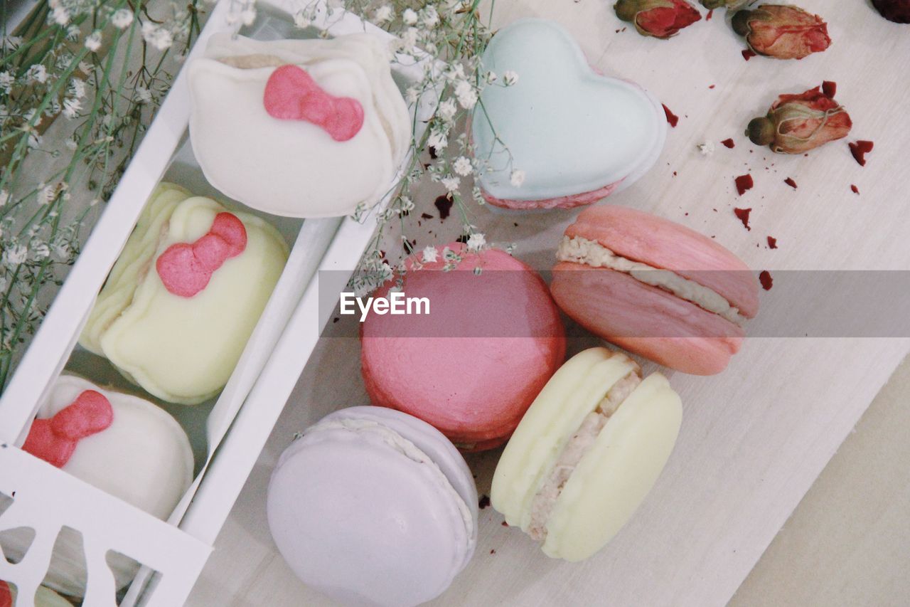 High angle view of multi colored macaroons and plants on table