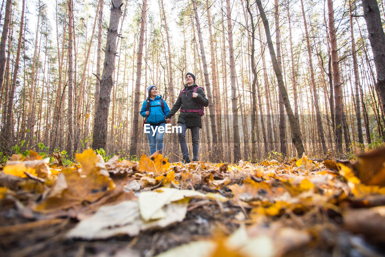 PEOPLE ON AUTUMN LEAVES IN FOREST