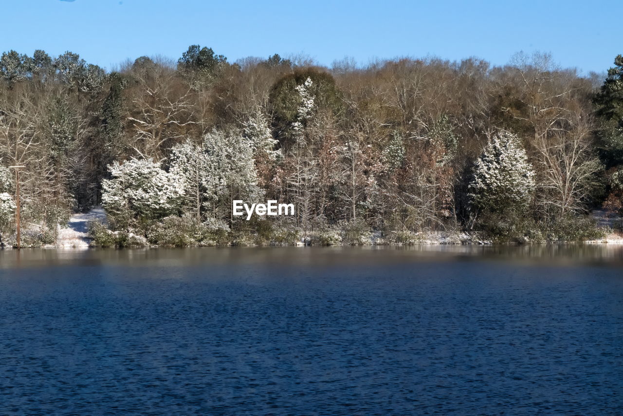 SCENIC VIEW OF LAKE BY TREES AGAINST SKY