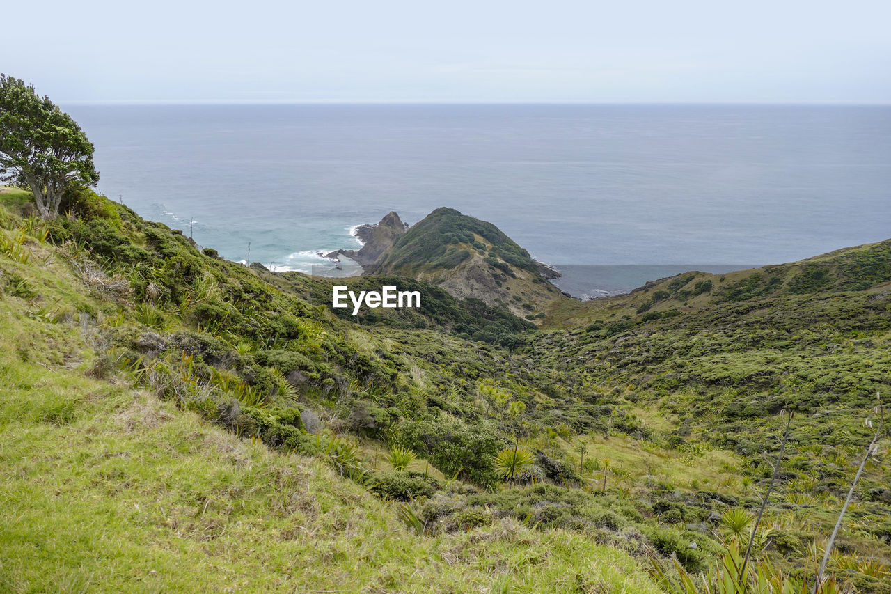 Coastal scenery with rock formation around cape reinga at the north island in new zealand