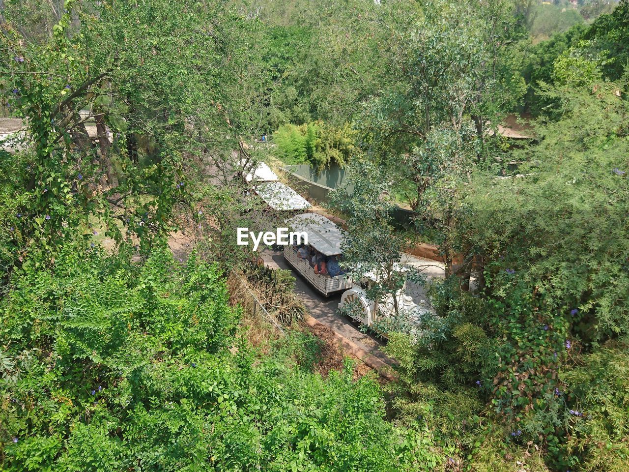 High angle view of trees and train