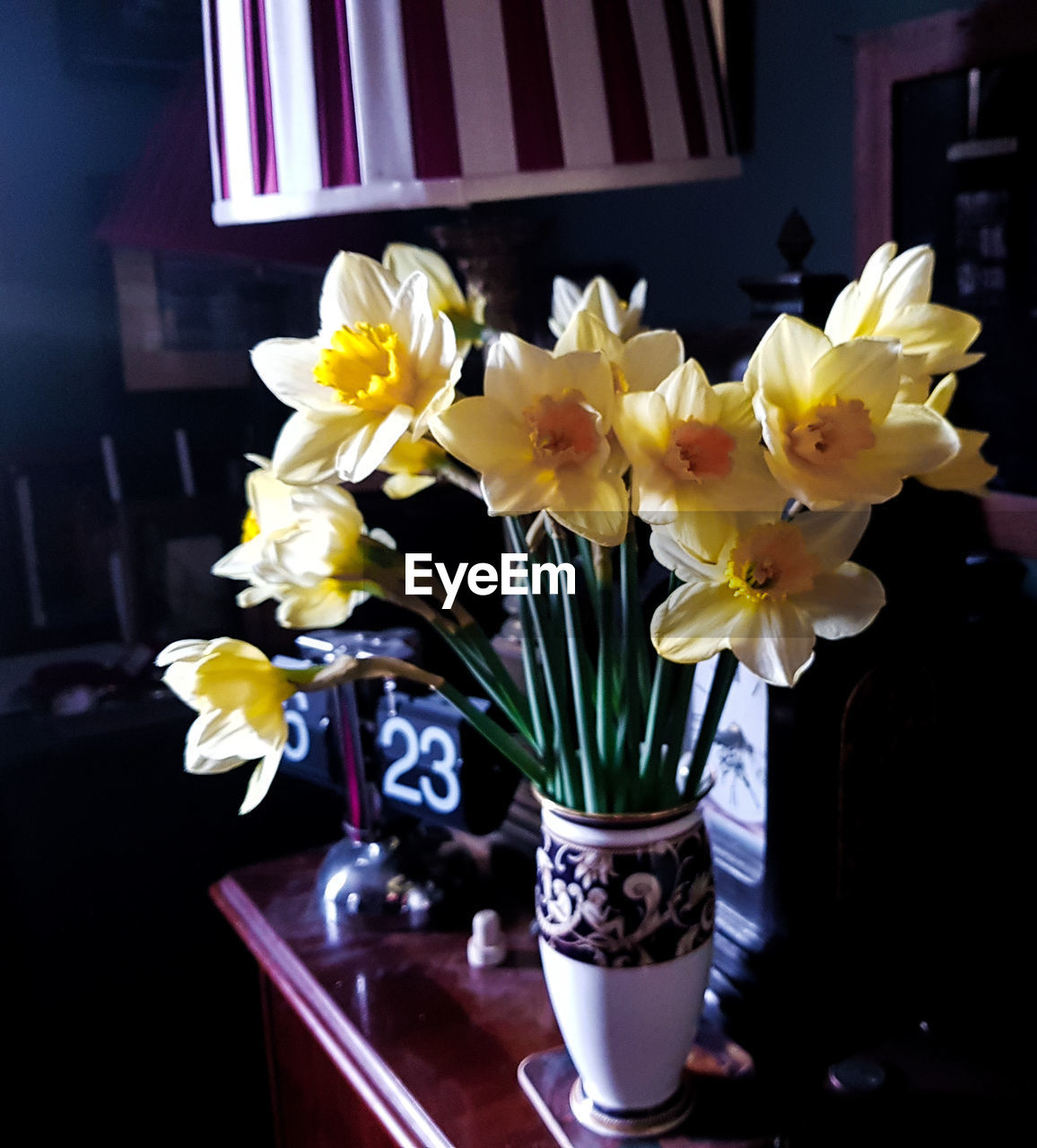 CLOSE-UP OF YELLOW FLOWERS ON TABLE