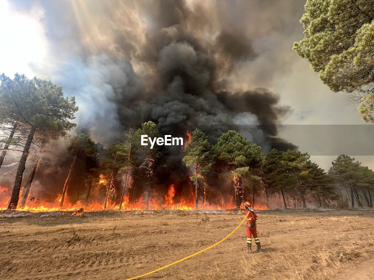 Man fighting with the flames of a forest fire