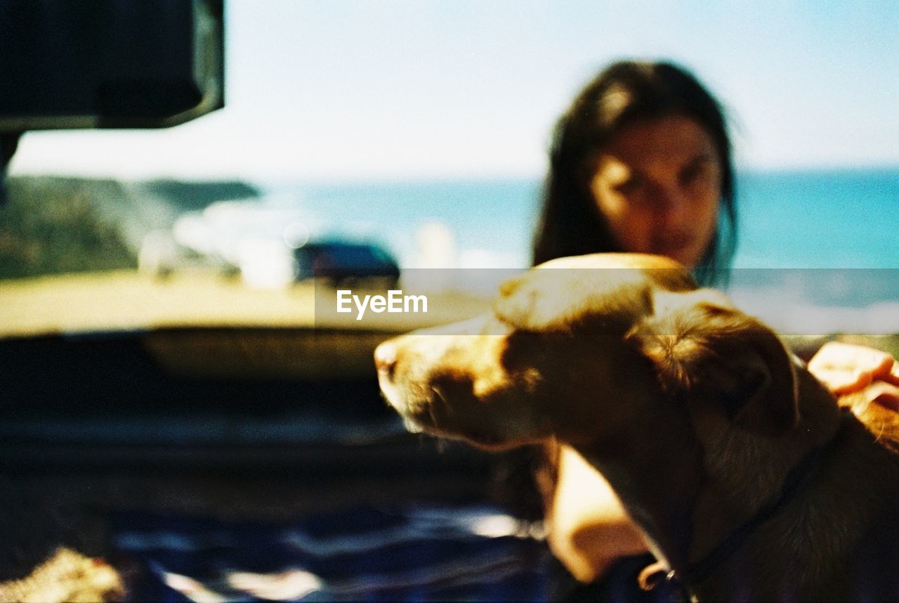 Close-up of dog with woman in background