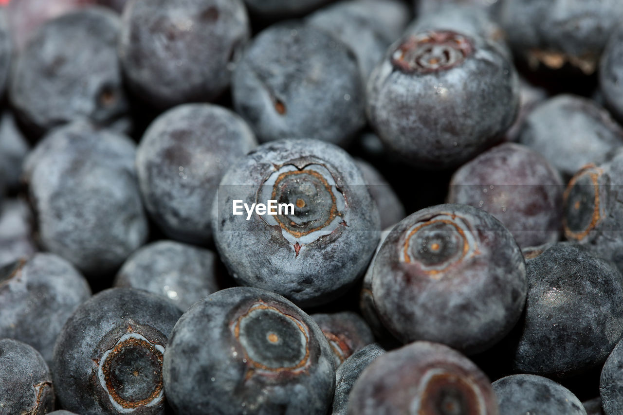 Full frame shot of blueberries