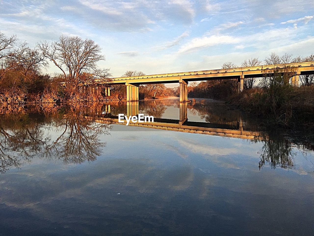 REFLECTION OF TREES IN WATER