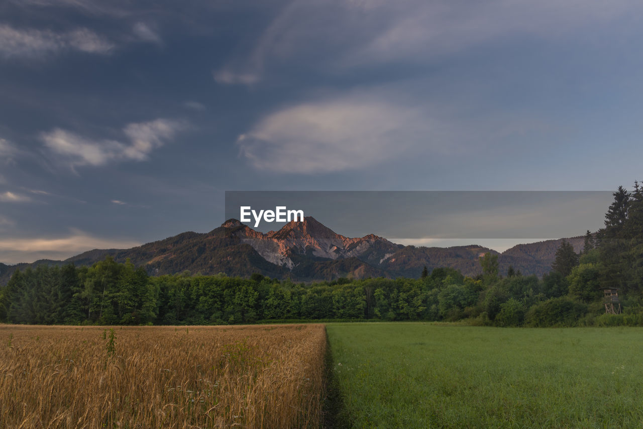 SCENIC VIEW OF FIELD AGAINST SKY DURING SUNSET