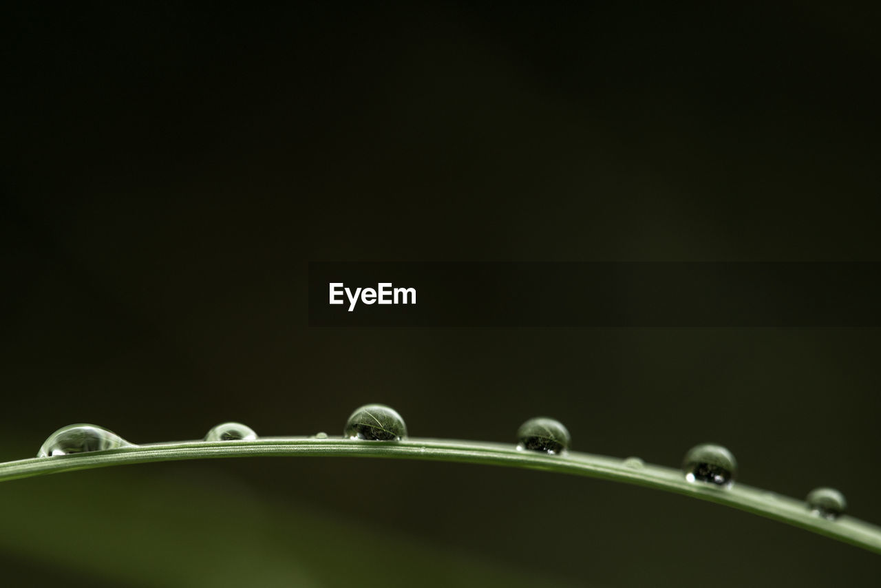 LOW ANGLE VIEW OF WATER DROPS AGAINST SKY