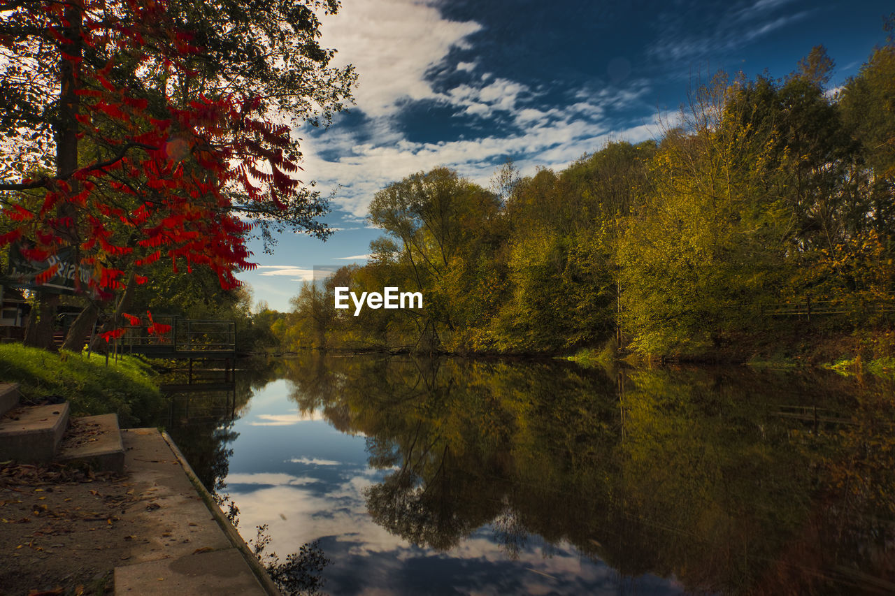 Scenic view of lake by trees against sky