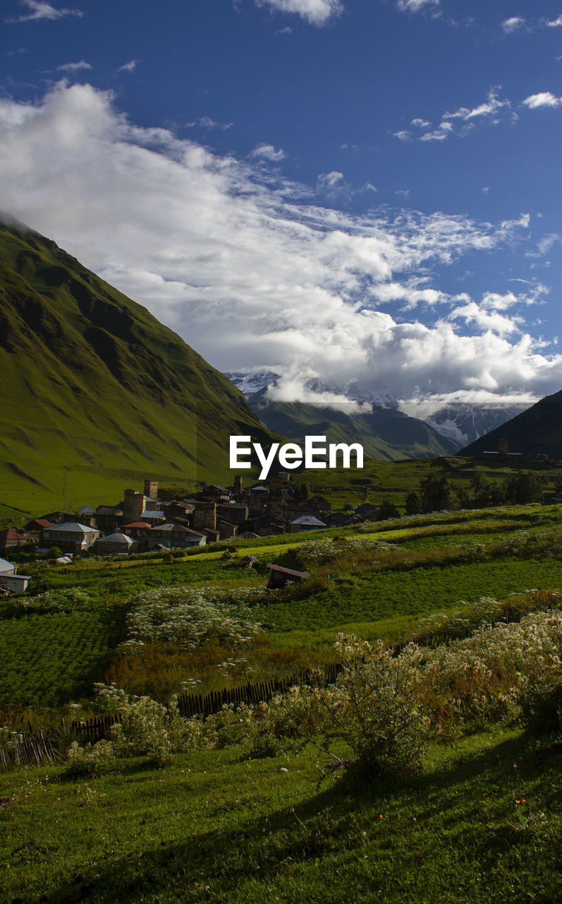 scenic view of field and mountains against sky