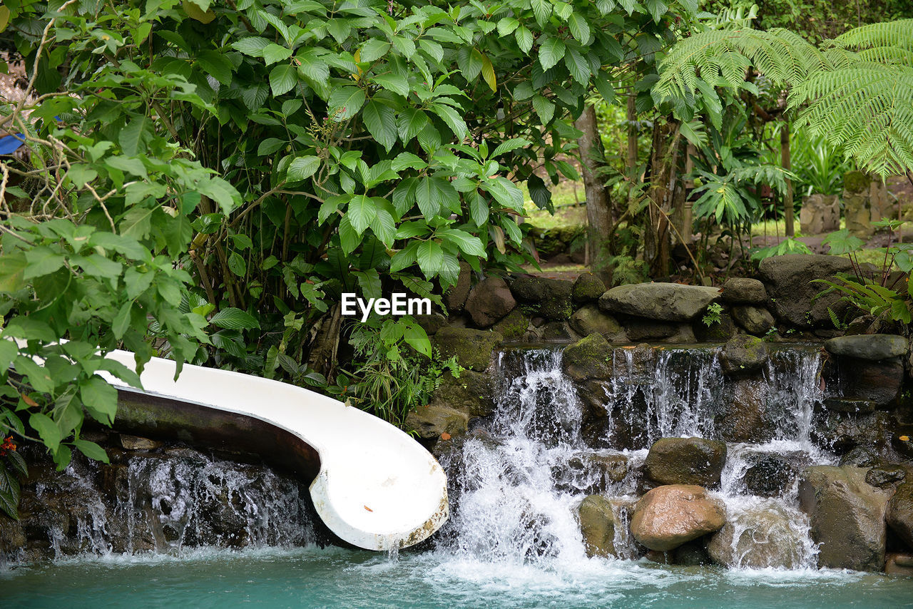 SWIMMING POOL BY PLANTS