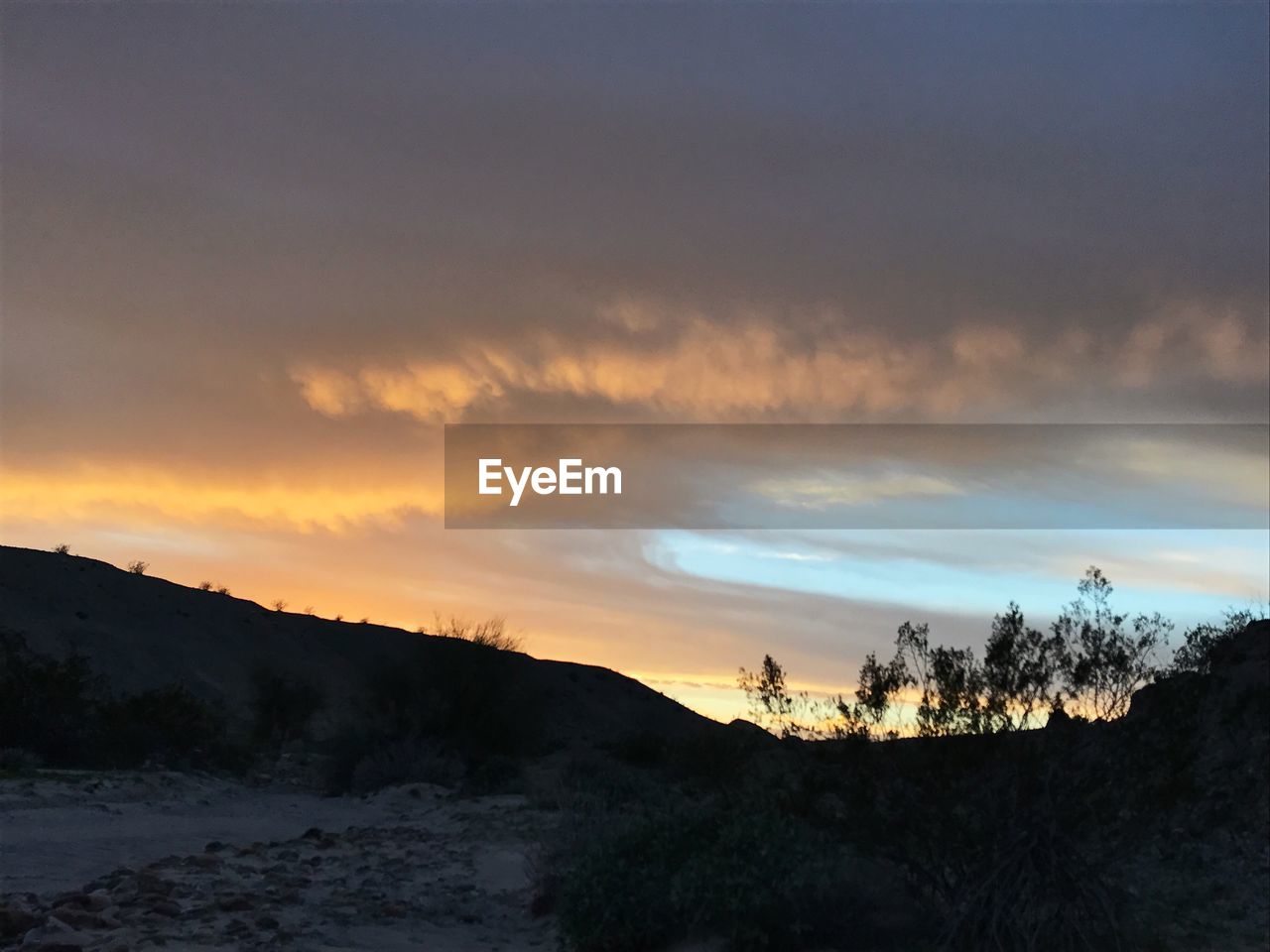 SCENIC VIEW OF SILHOUETTE TREES AGAINST SKY AT SUNSET