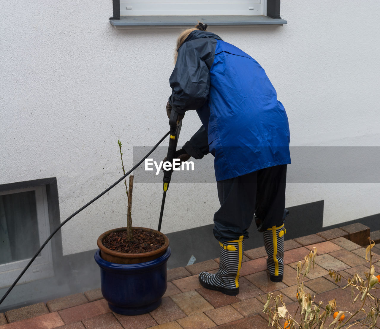 Rear view of woman working by potted plant against wall
