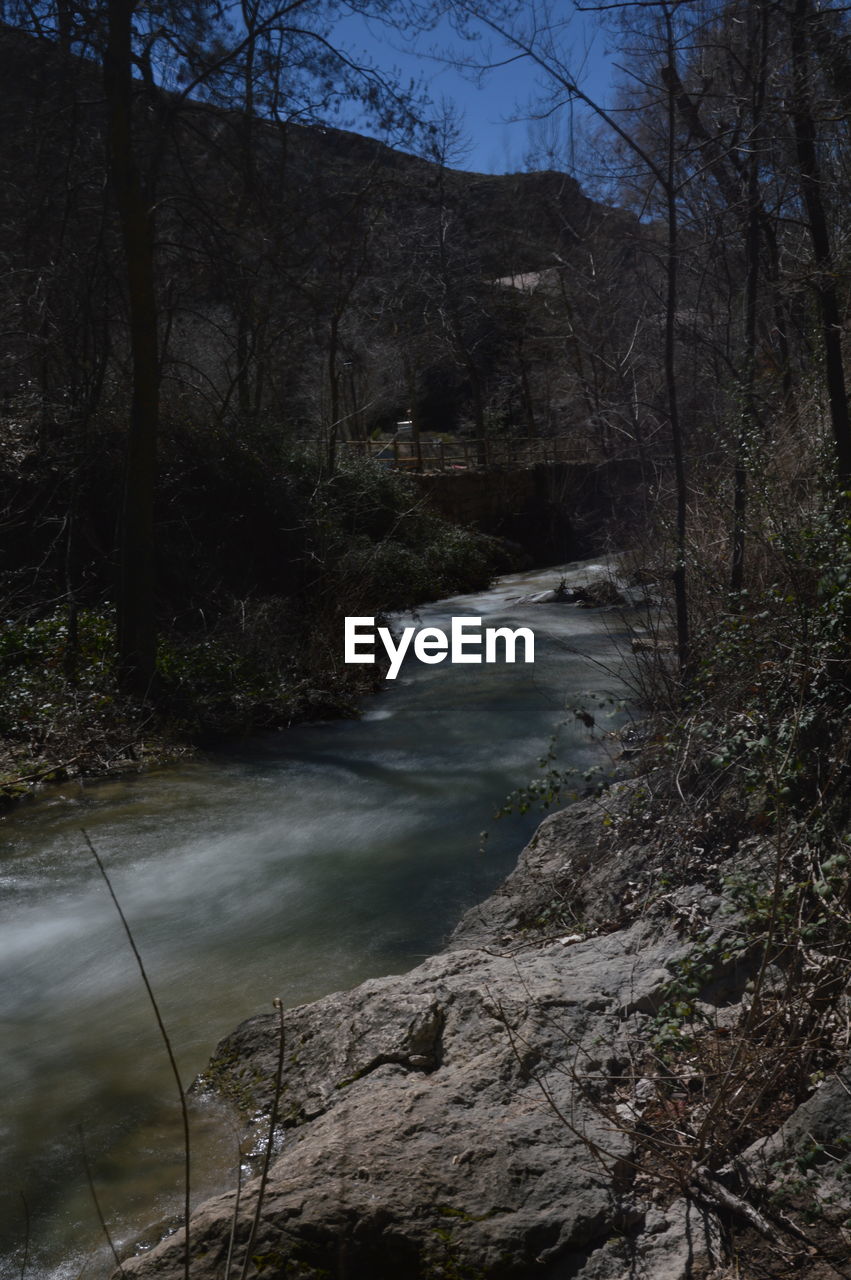 STREAM FLOWING AMIDST TREES IN FOREST