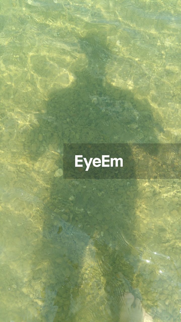 HIGH ANGLE VIEW OF SWIMMING POOL IN WATER