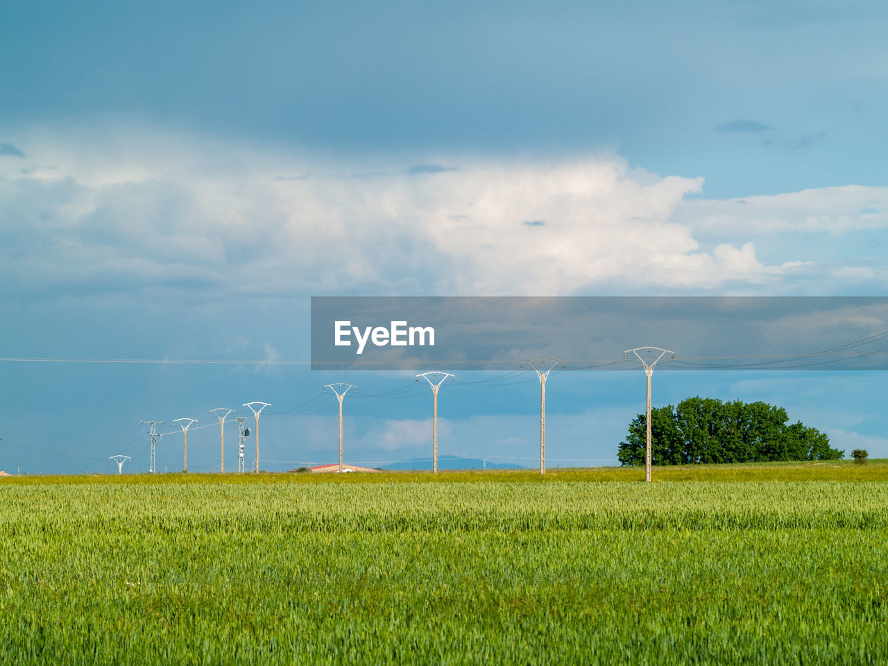 SCENIC VIEW OF FARM AGAINST SKY