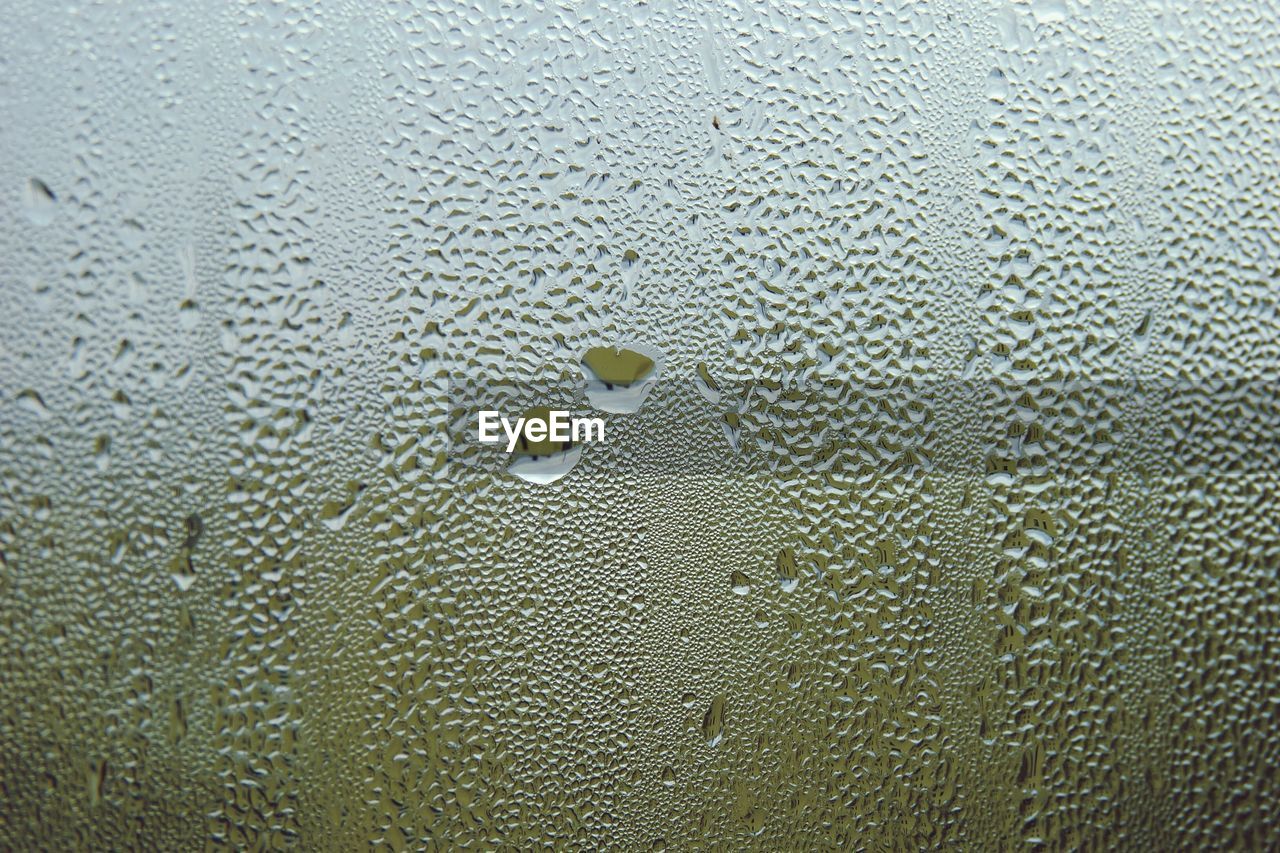 Frozen droplets on window