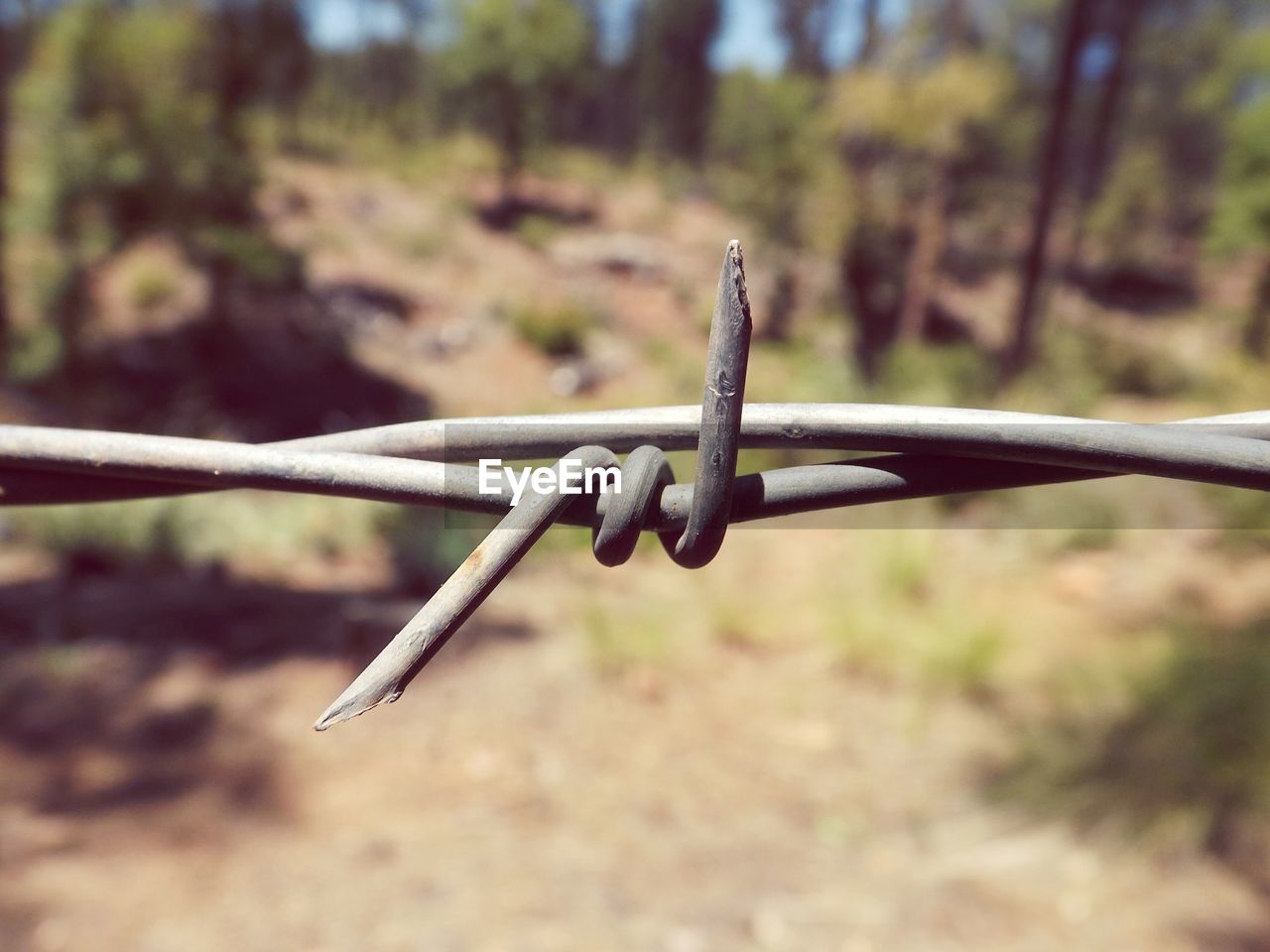 Close-up of barbed wire fence at field