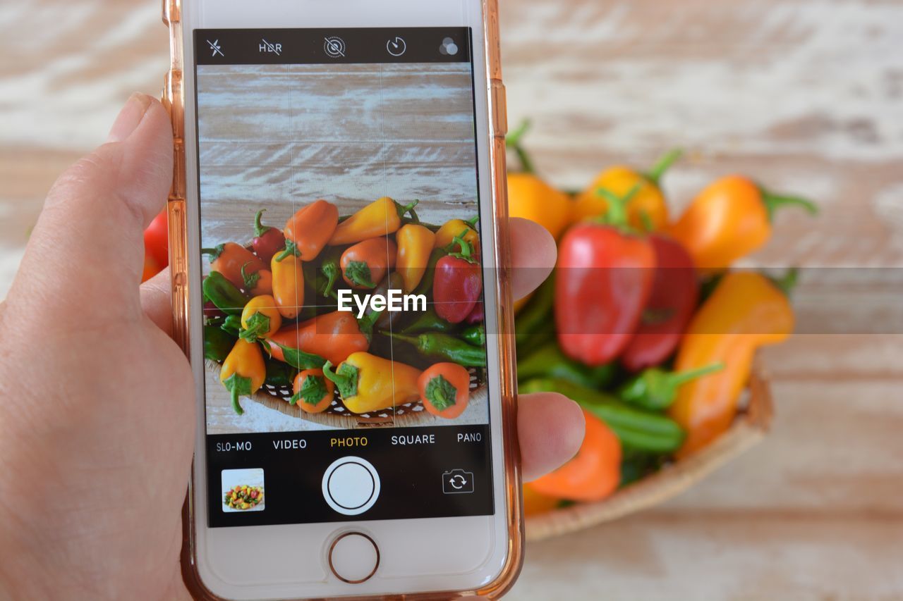 CLOSE-UP OF HAND HOLDING FRUITS WITH VEGETABLES