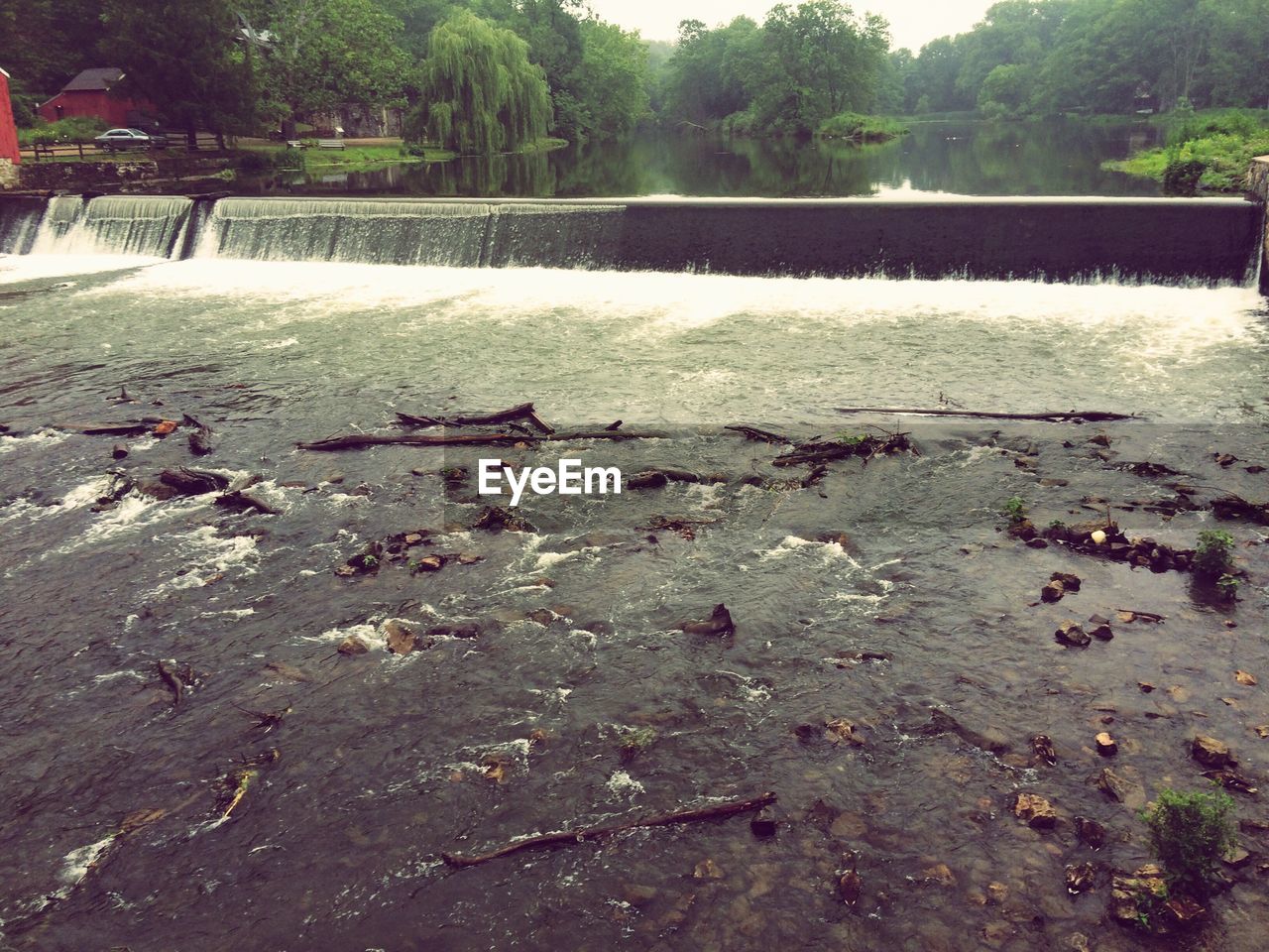 VIEW OF RIVER WITH TREES IN BACKGROUND