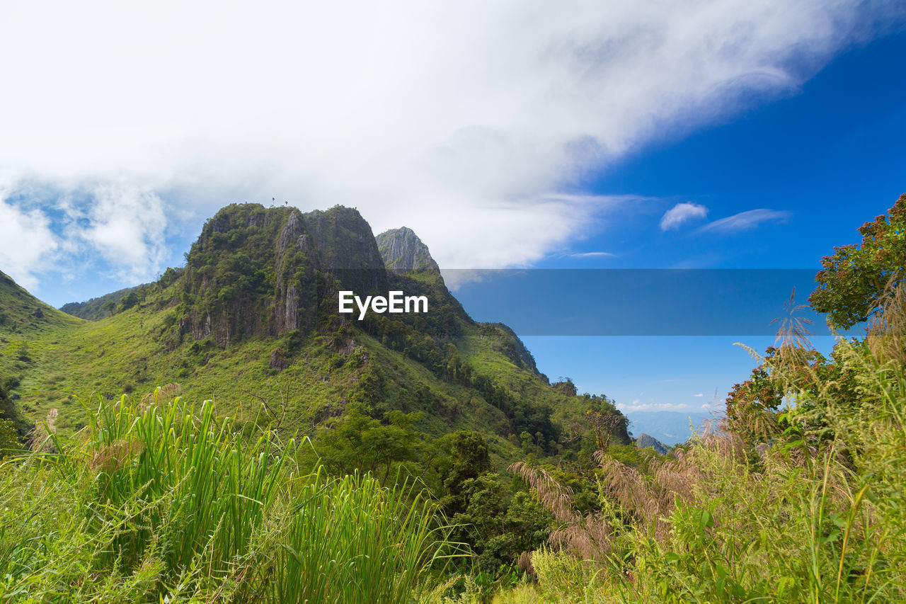 SCENIC VIEW OF LAND AGAINST SKY